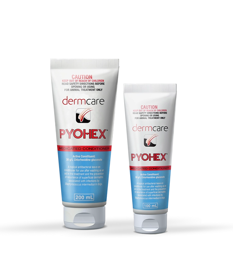 Dermcare Pyohex Medicated Conditioner