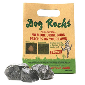 Dog Rocks