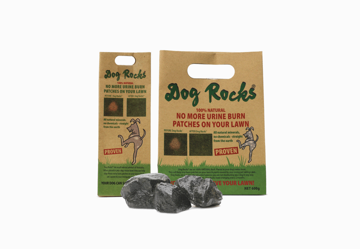 Dog Rocks