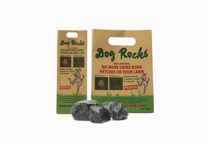 Dog Rocks