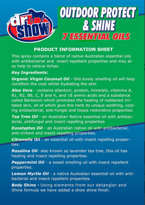 Dr Show Outdoor Protect And Shine Spray