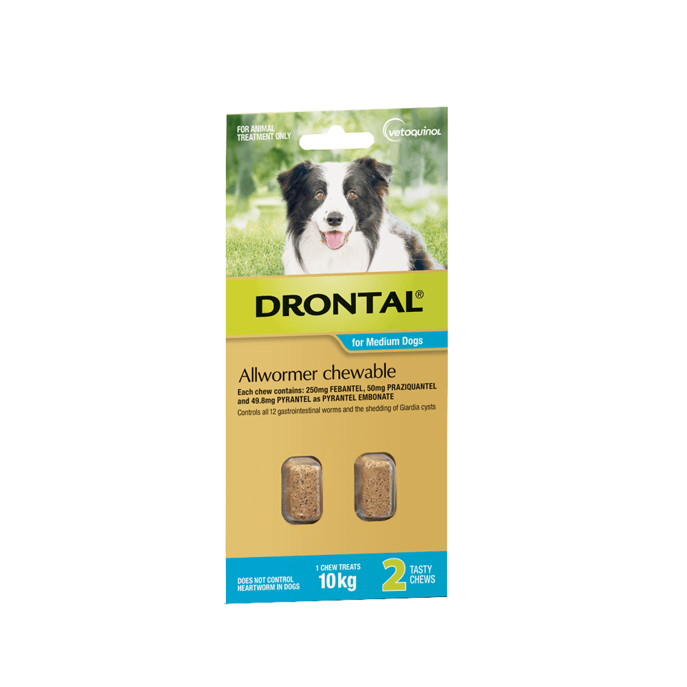 Drontal Allwormer Chewables 10kg Medium Dogs