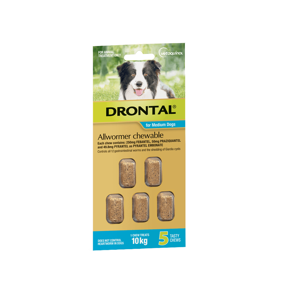 Drontal Allwormer Chewables 10kg Medium Dogs Brookies Rural Traders