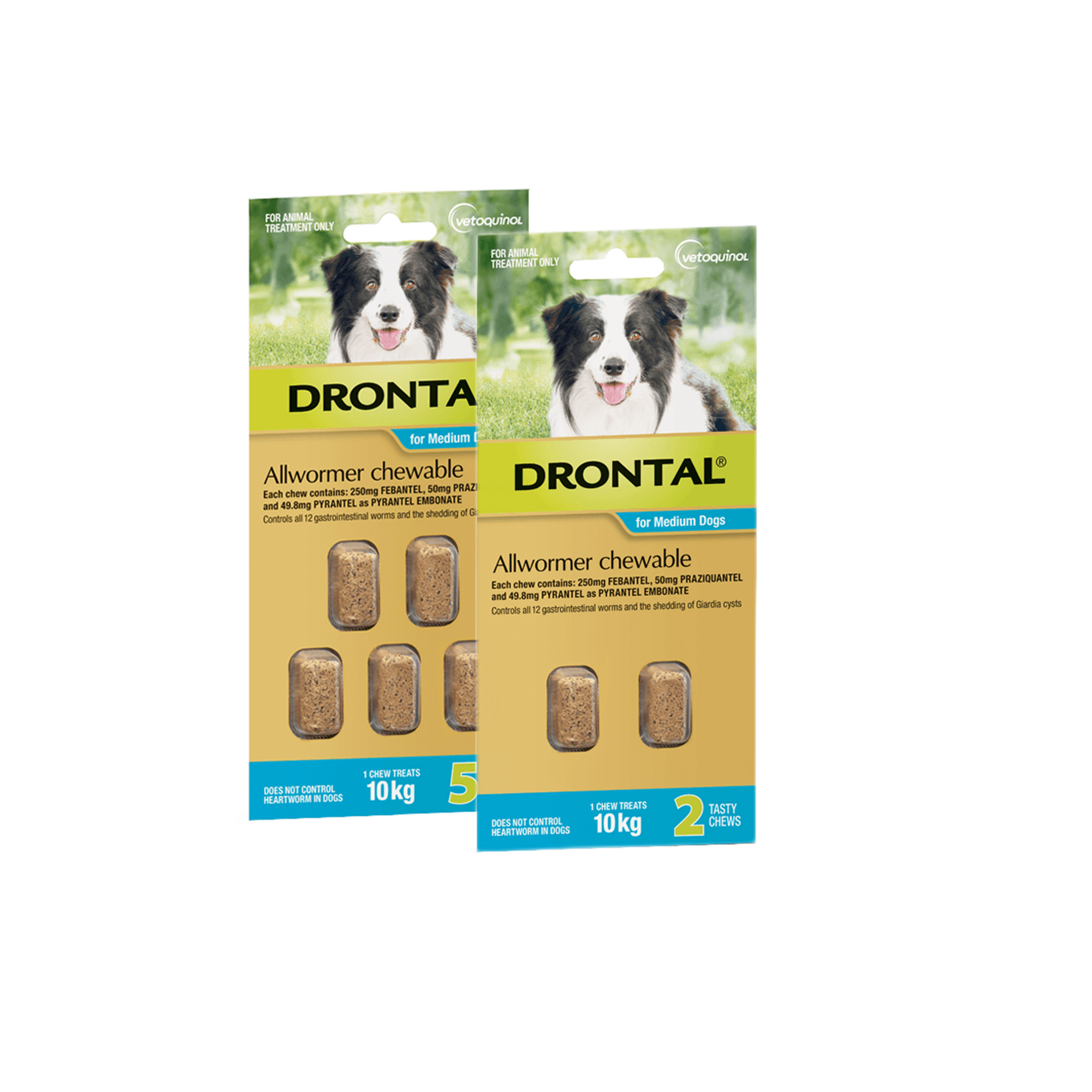 Drontal Allwormer Chewables 10kg Medium Dogs