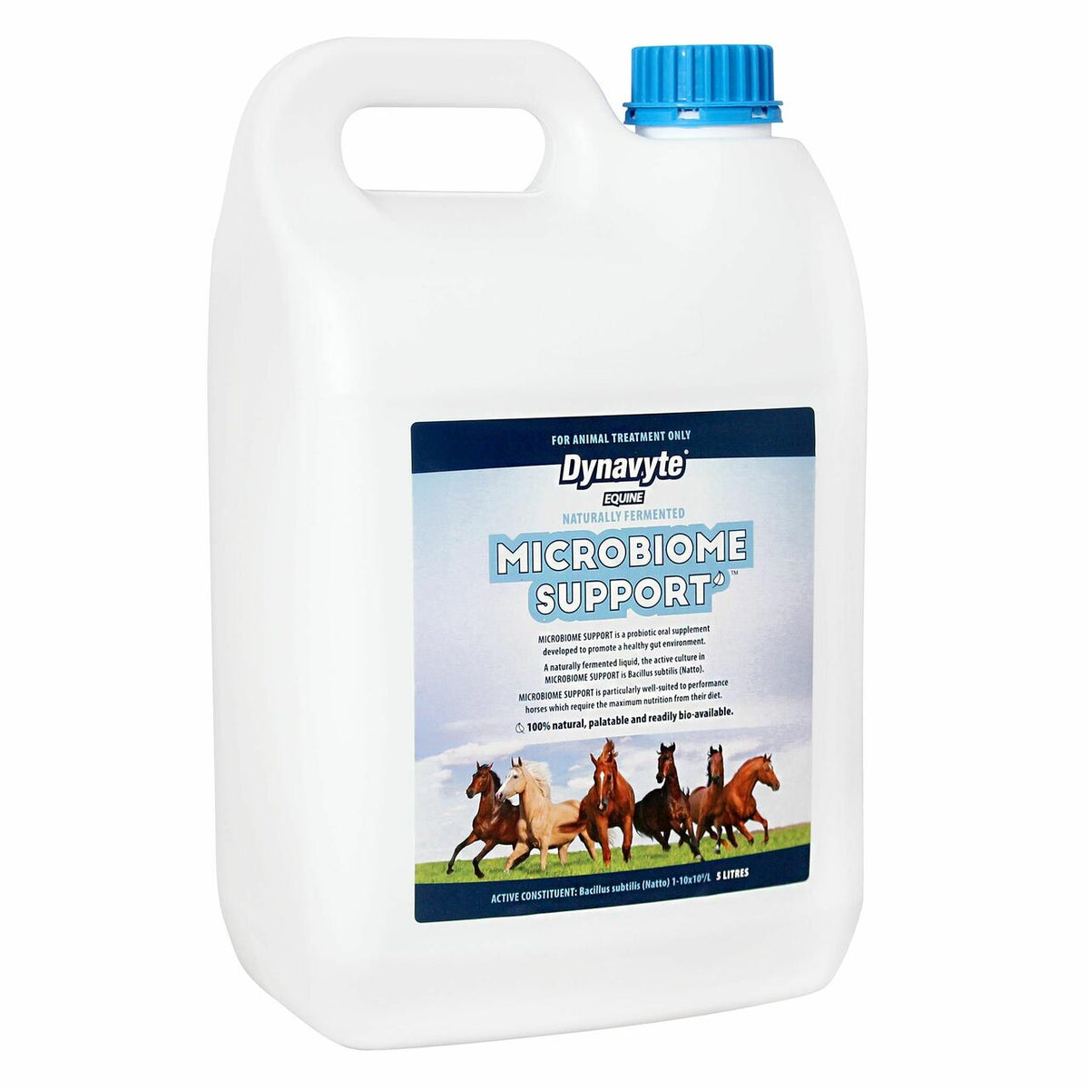 Dynavyte Microbiome Support for Horses