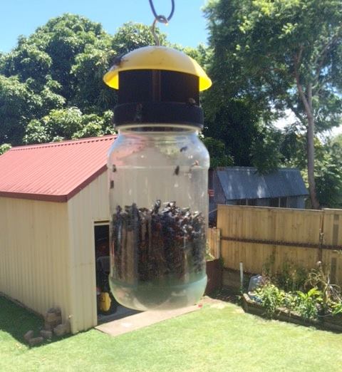 Envirosafe Fly Trap