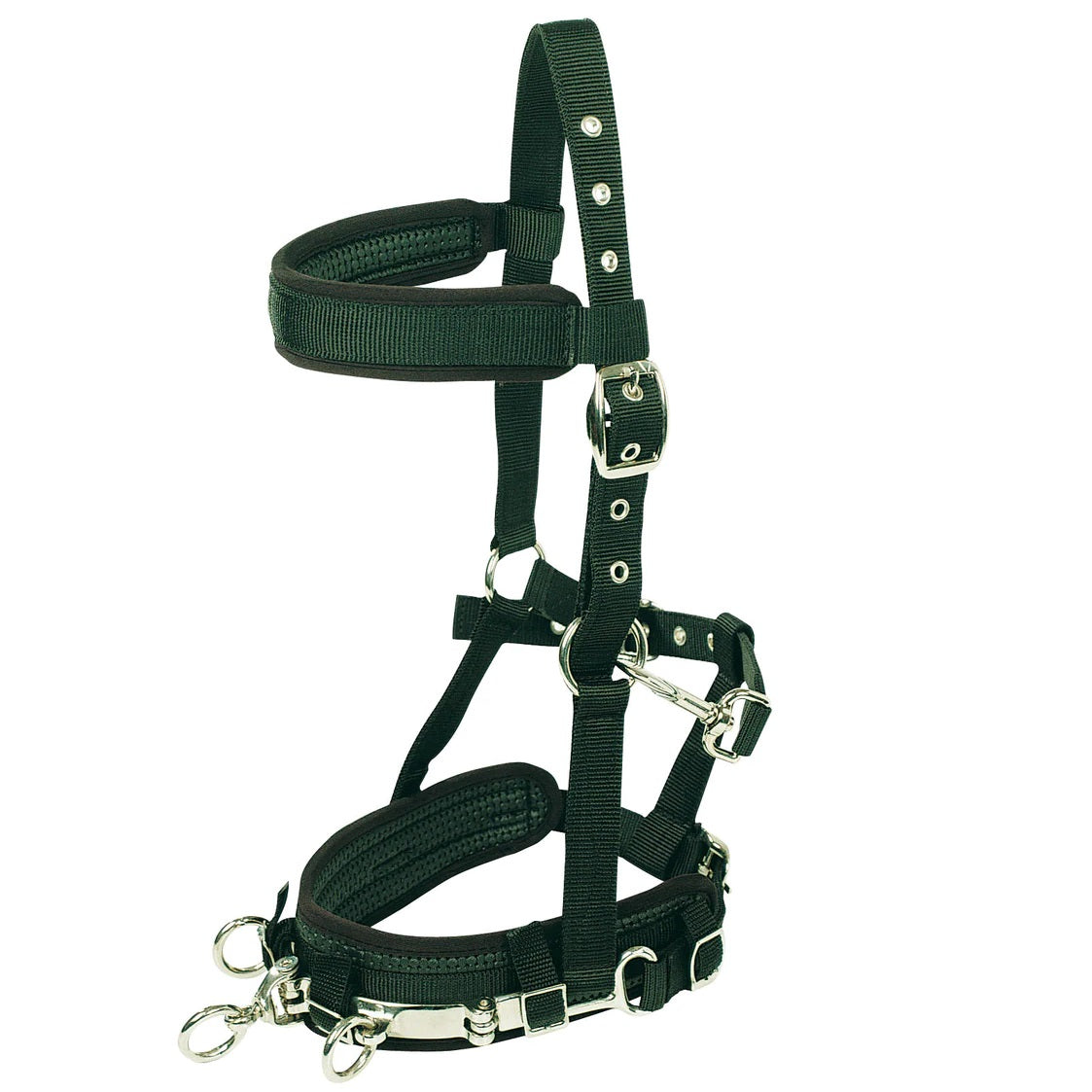 Equi-Prene Lunge Cavesson