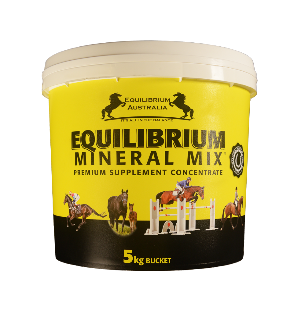 Equilibrium Mineral Mix