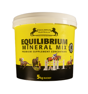 Equilibrium Mineral Mix