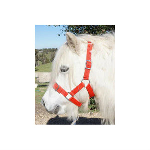 Eureka Miniature Halter