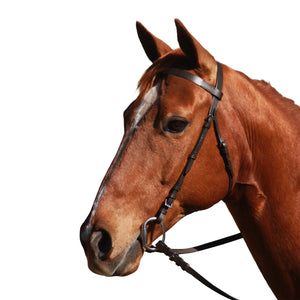 Eureka Plain Bridle