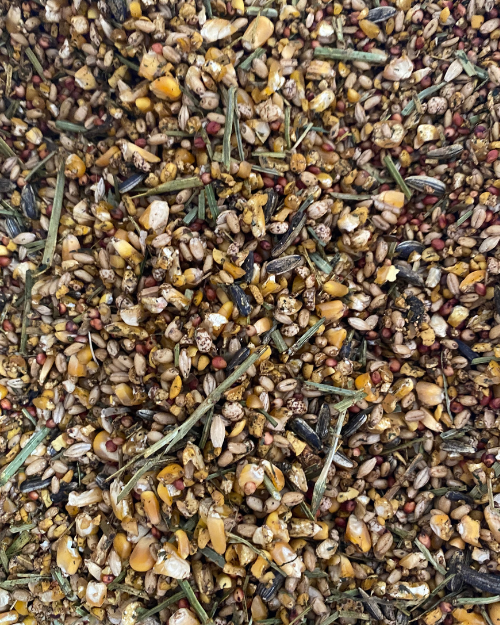 Farmbies Premium Layer Mash