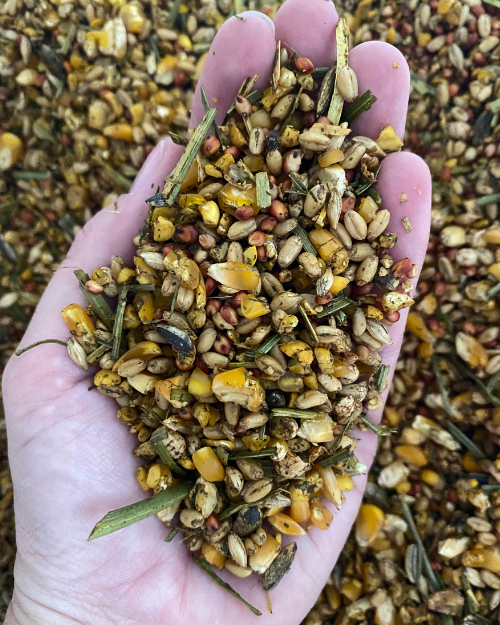 Farmbies Premium Layer Mash