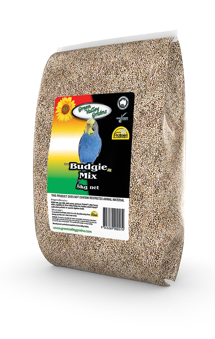Green Valley Budgie Mix