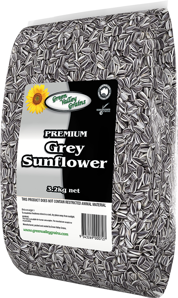 Green Valley Grey Sunflower Seeds