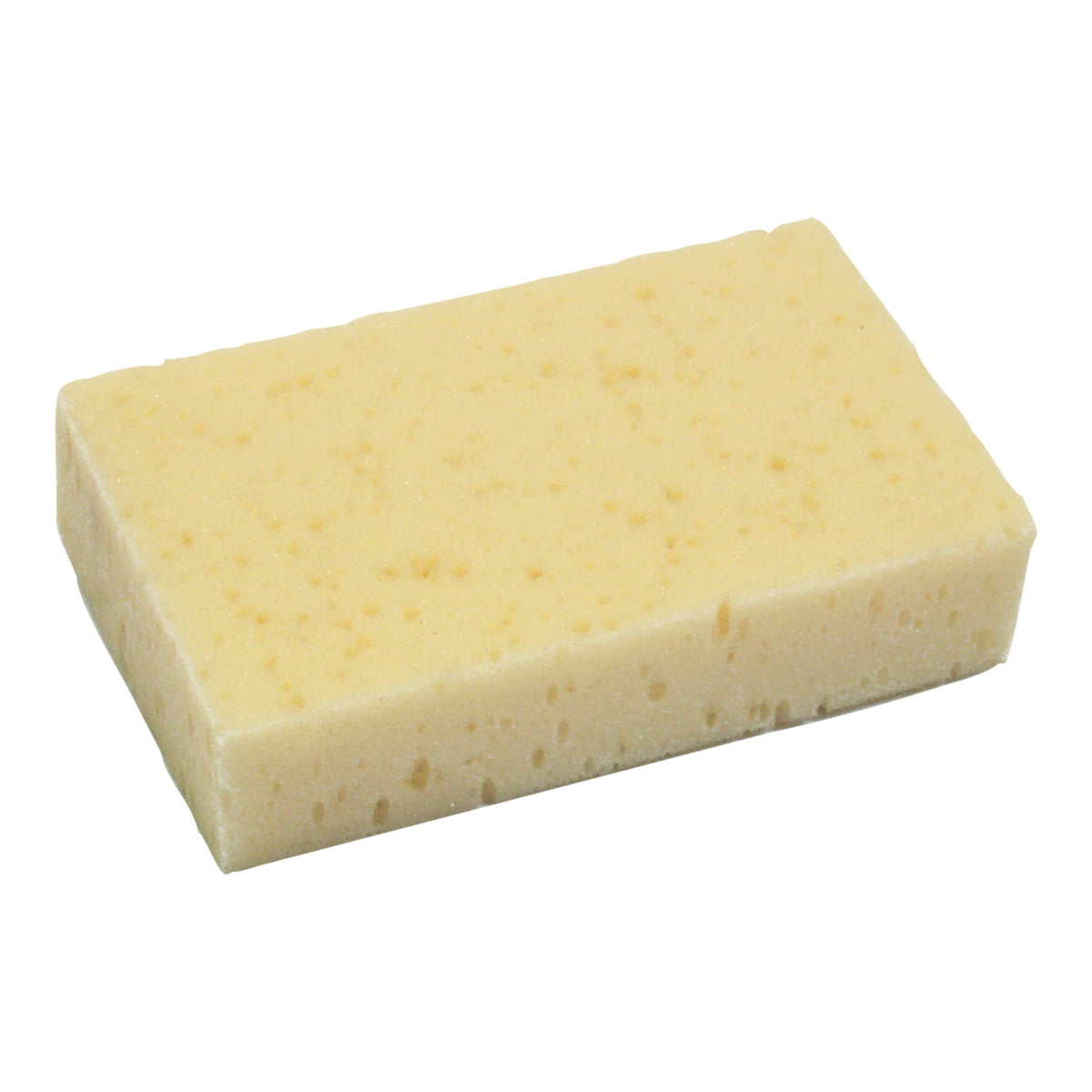 Grooming Sponge