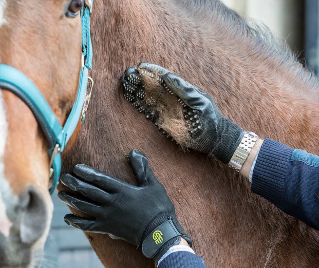 Handson 2025 grooming gloves