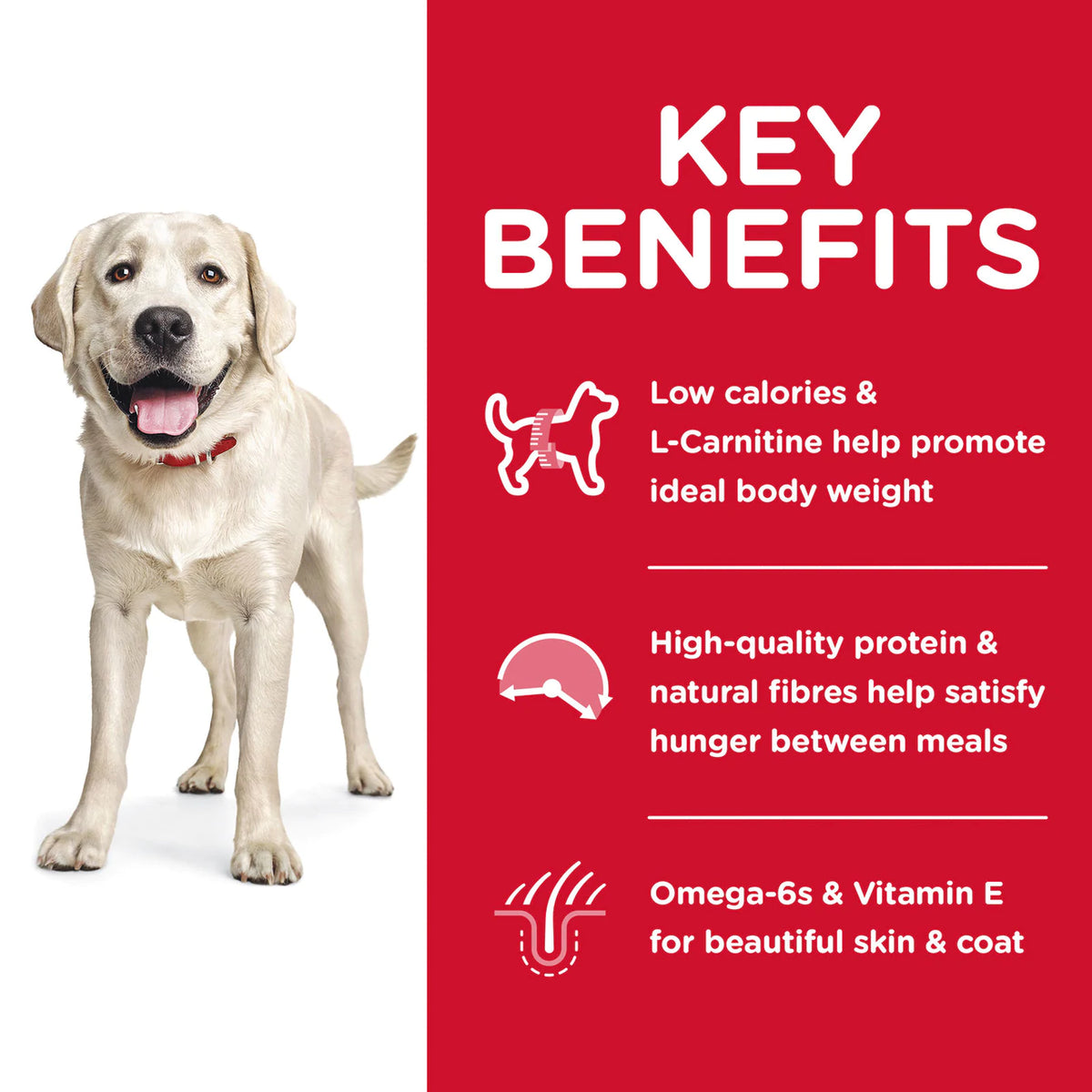Hills Science Diet Adult Large Breed Light Dry Dog Food