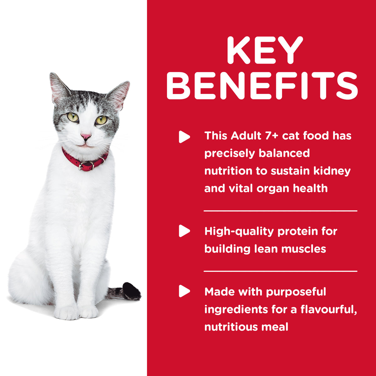 Hills Science Diet Adult Cat 11+ Dry Food