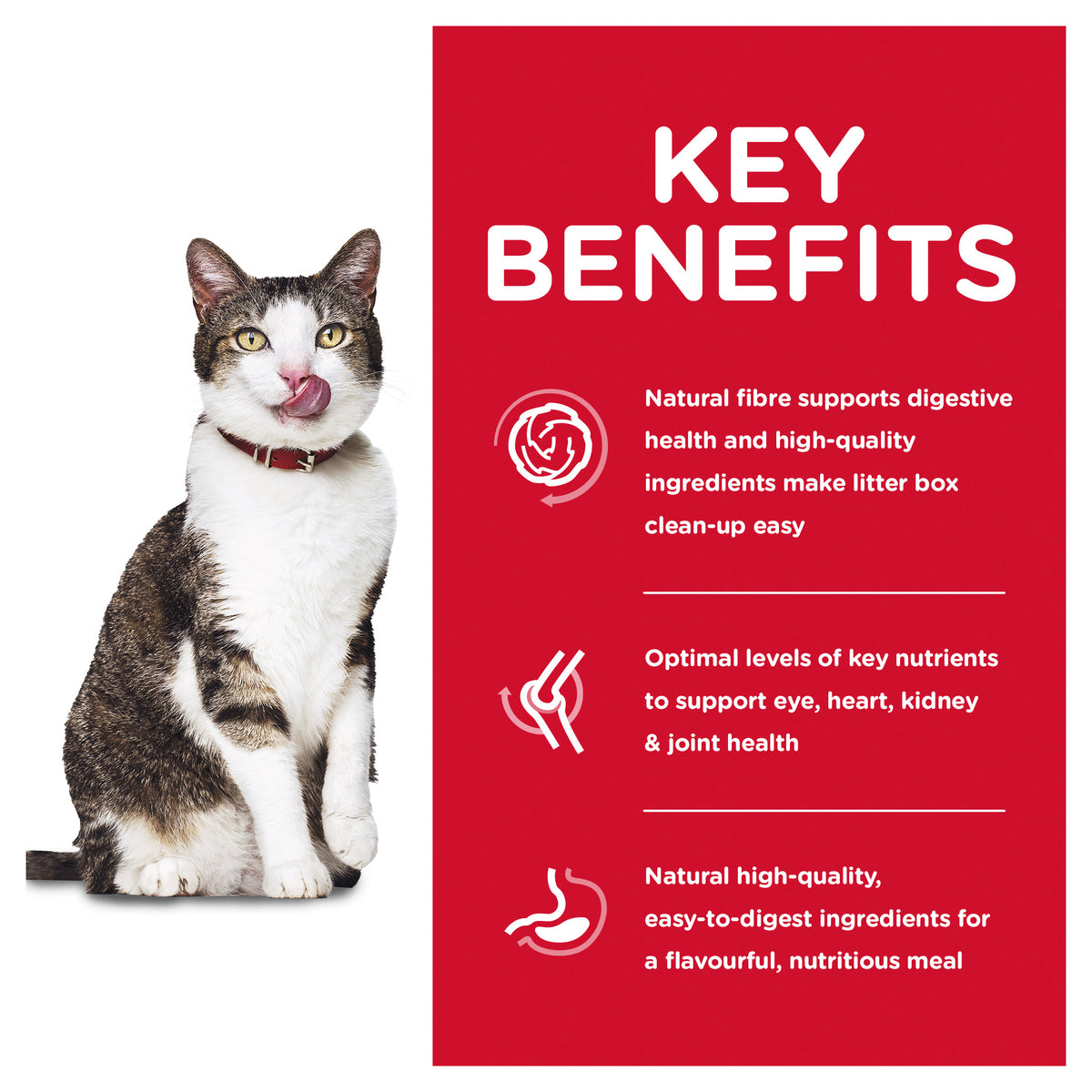 Hills Science Diet Adult Cat 11+ Indoor Dry Food