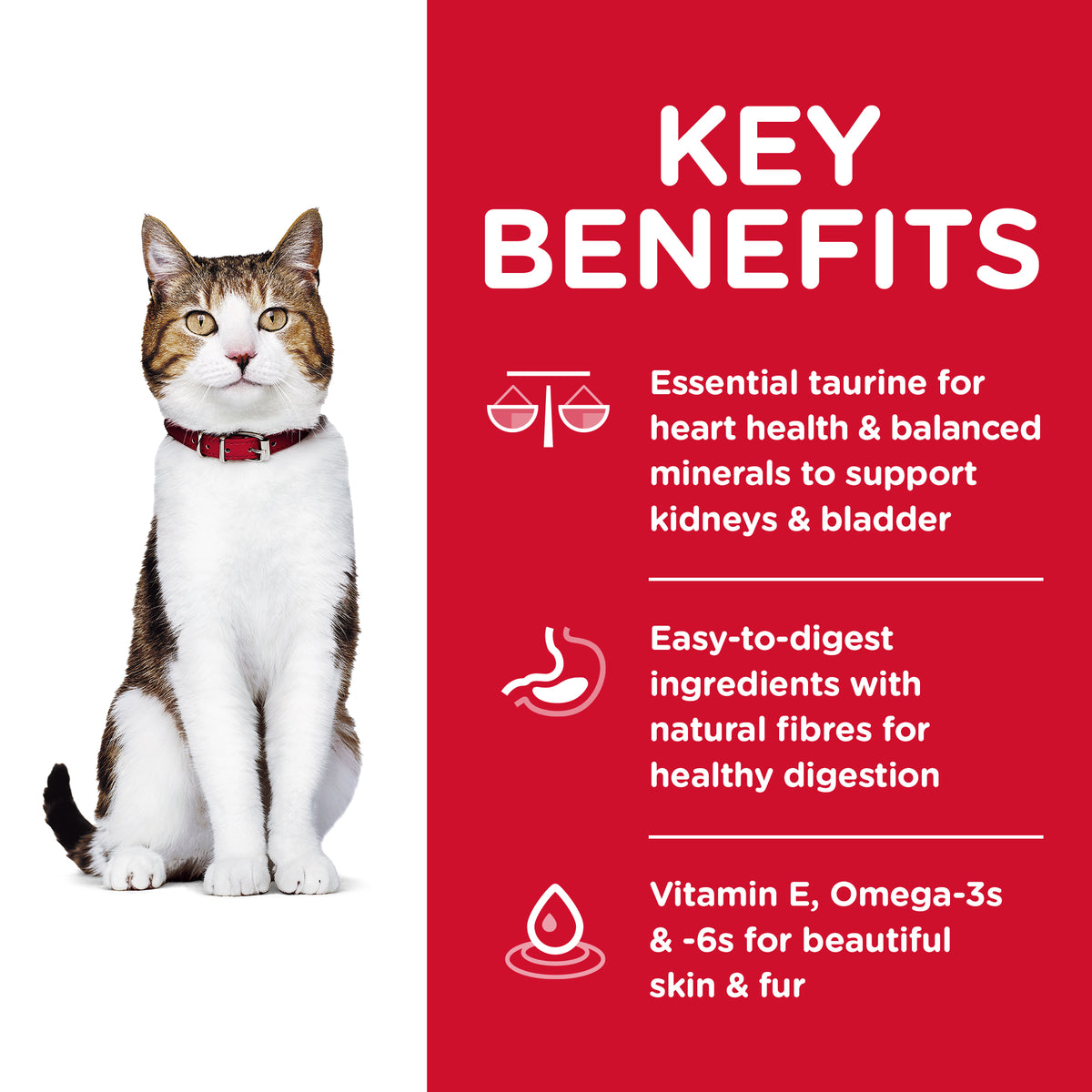 Hills Science Diet Adult Cat 7+ Dry Food