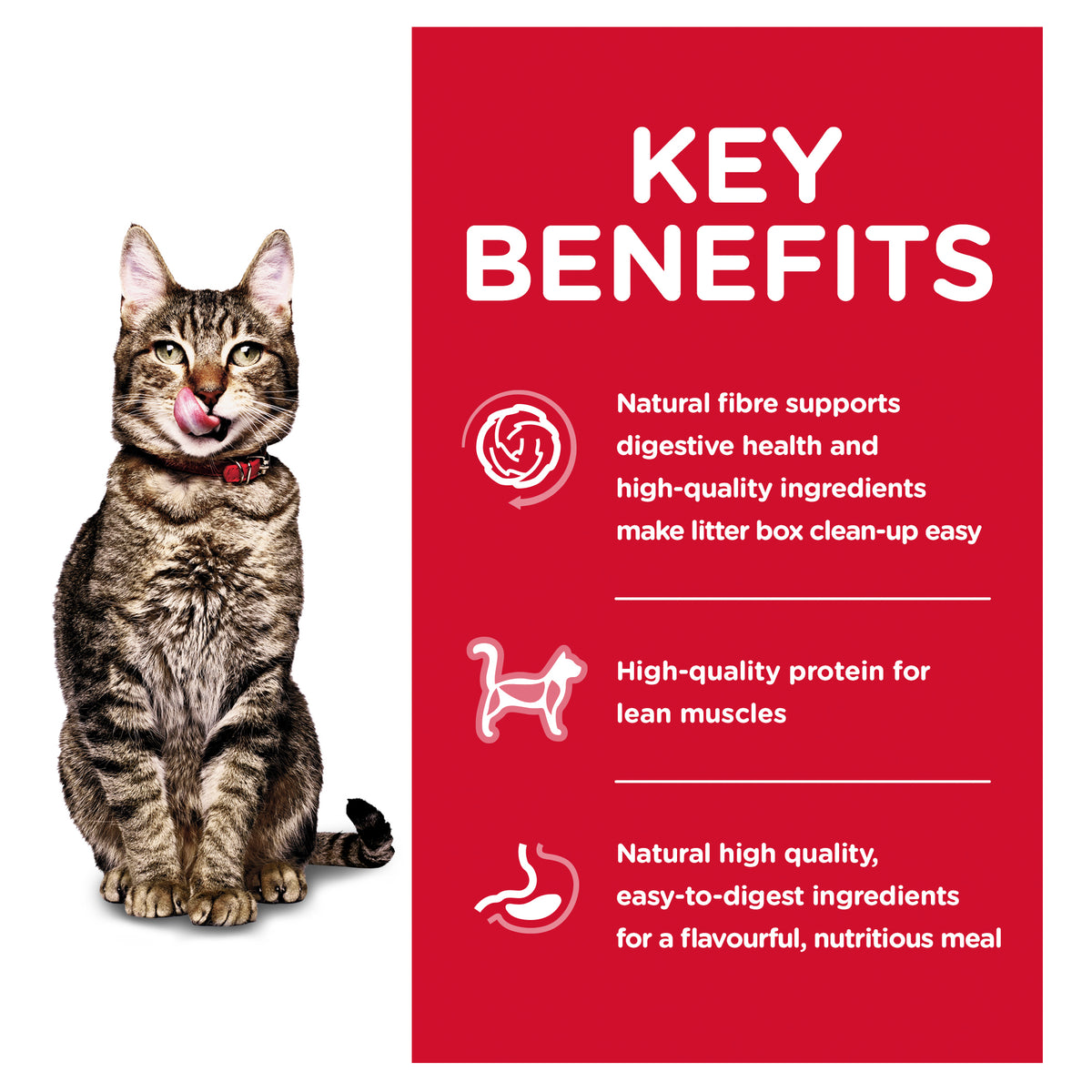 Hills Science Diet Adult Cat 7+ Indoor Dry Food