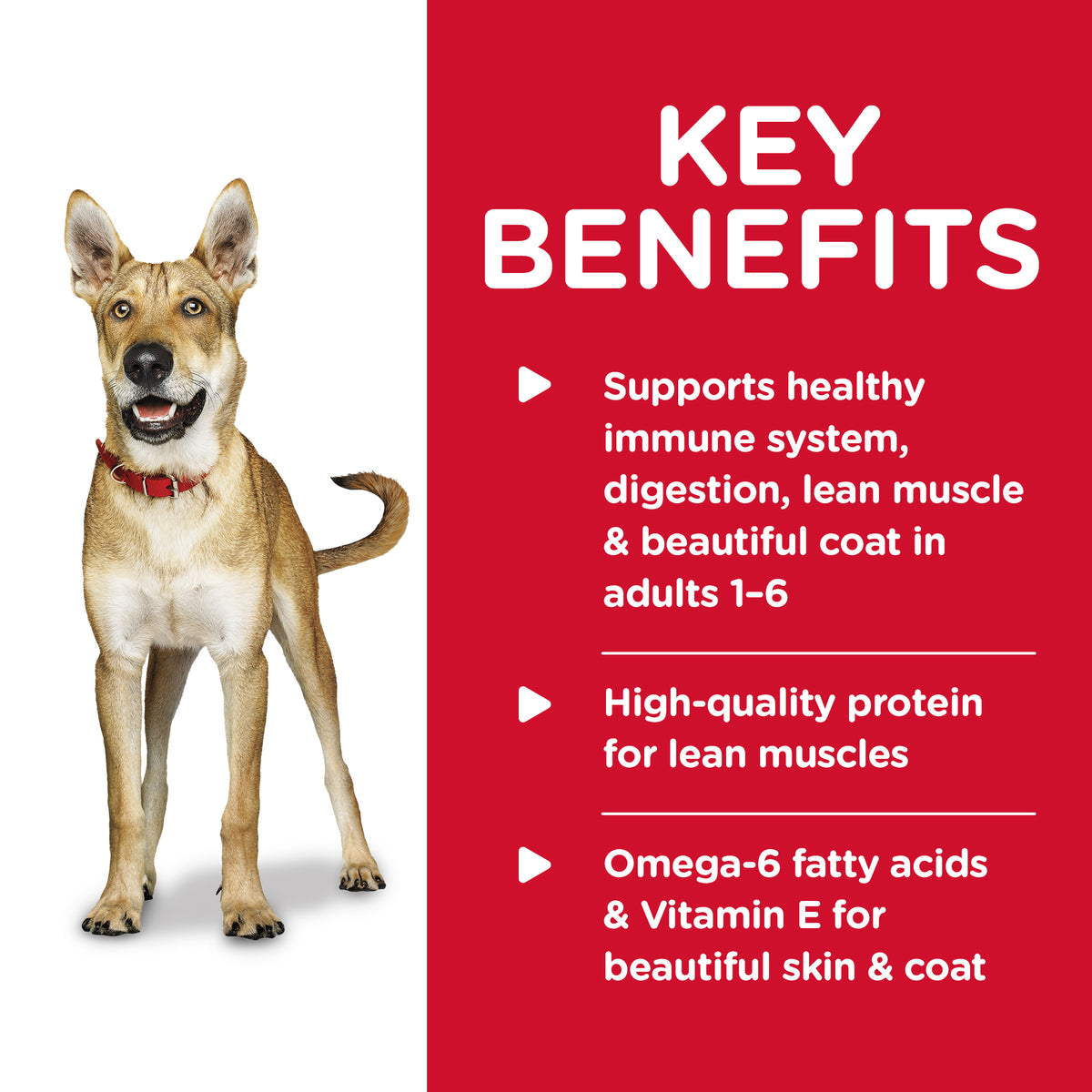 Hills Science Diet Adult Beef and Barley Wet Dog Food