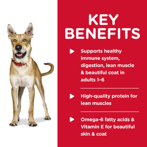 Hills Science Diet Adult Chicken and Barley Wet Dog Food