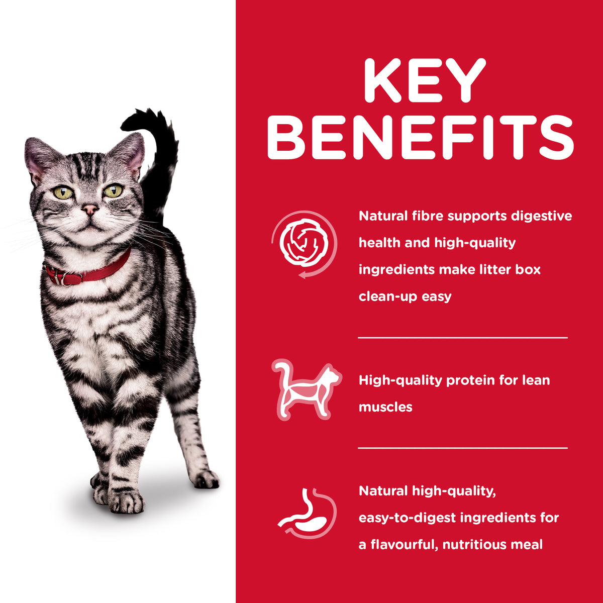 Hills Science Diet Adult Cat Indoor Dry Food
