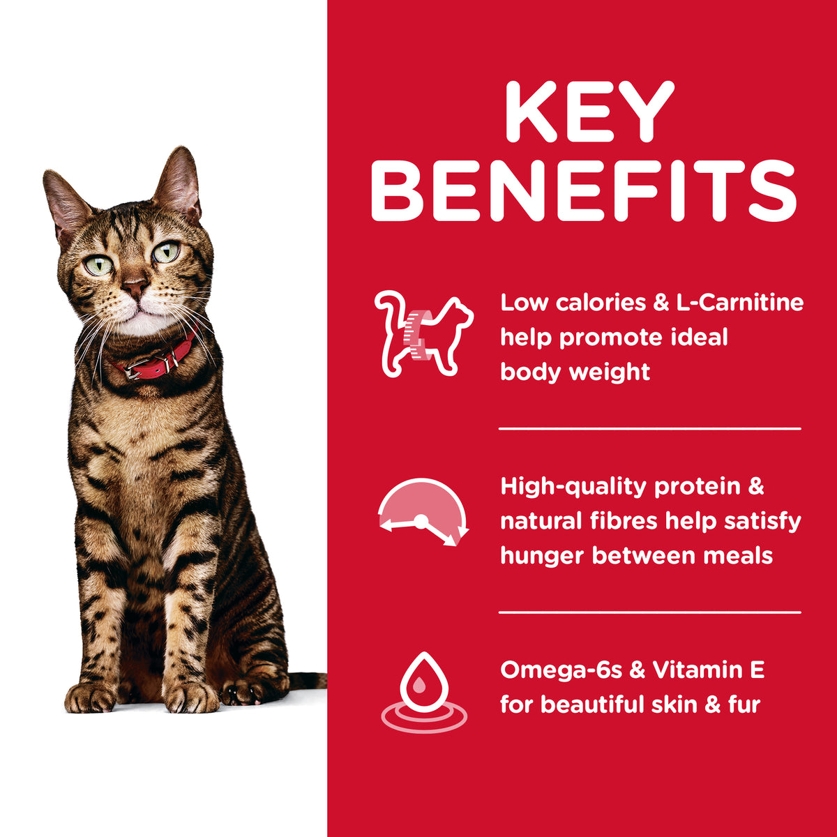 Hills Science Diet Adult Cat Light Dry Food