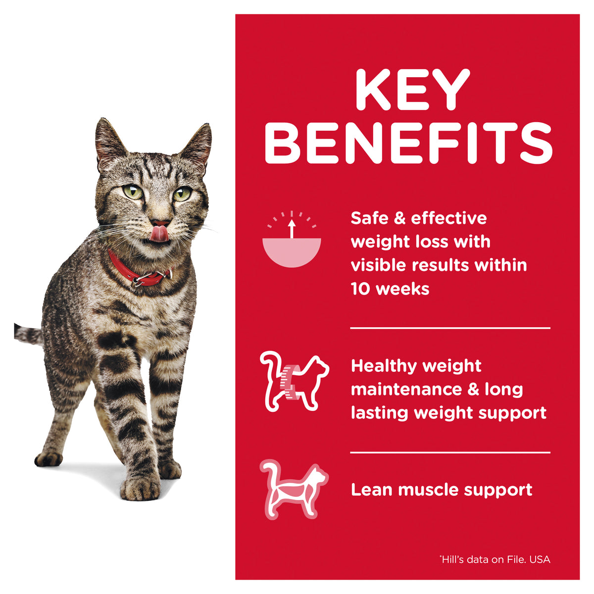 Hills Science Diet Adult Perfect Weight Salmon Pouch Wet Cat Food