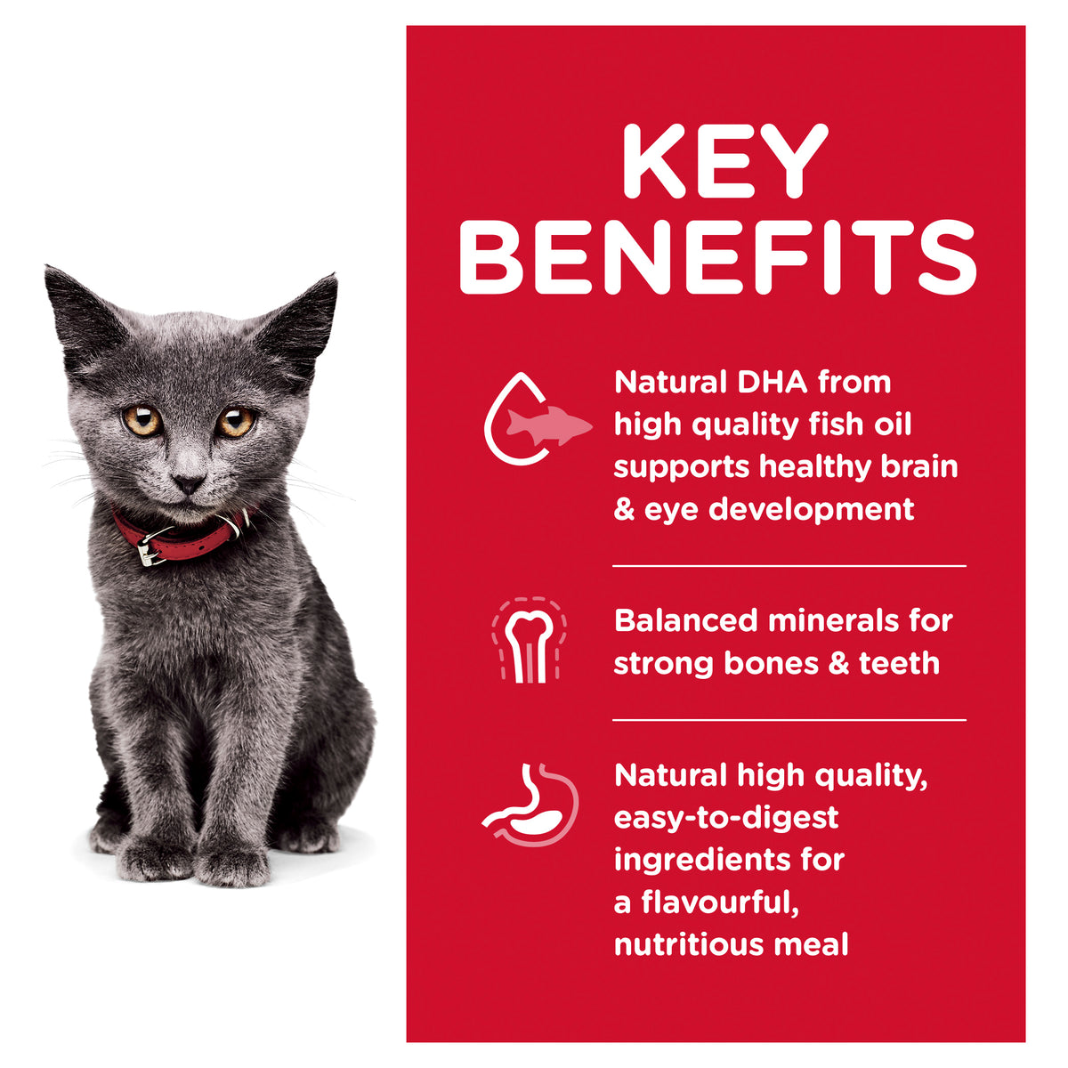 Hills Science Diet Kitten Indoor Dry Food
