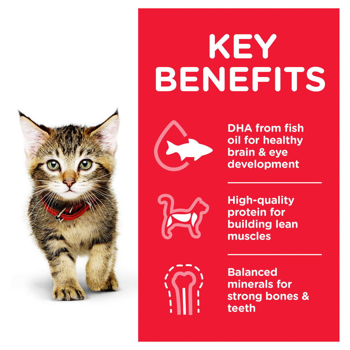 Hills Science Diet Kitten Ocean Fish Pouch Wet Cat Food