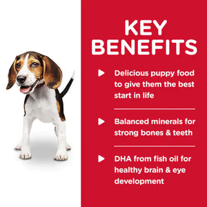 Hills Science Diet Puppy Chicken and Barley Wet Dog Food