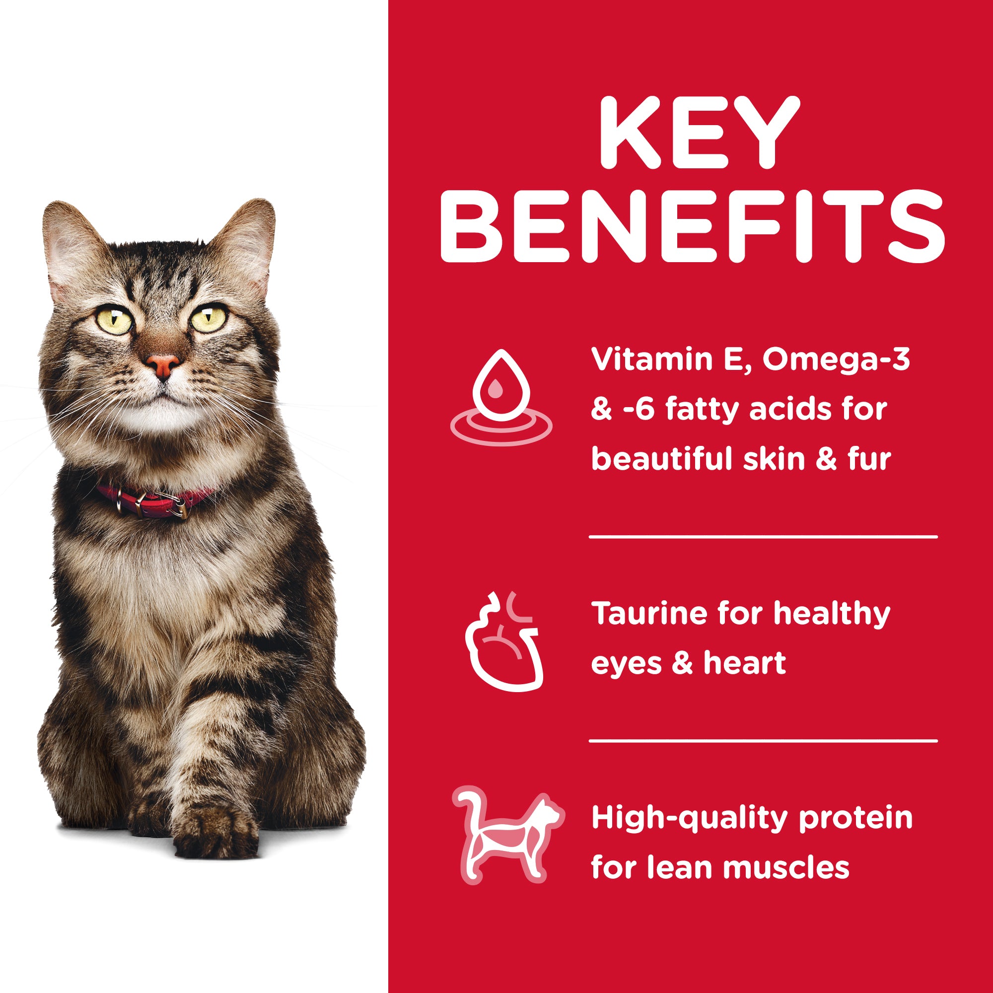 Dry cat food hotsell high in omega 3