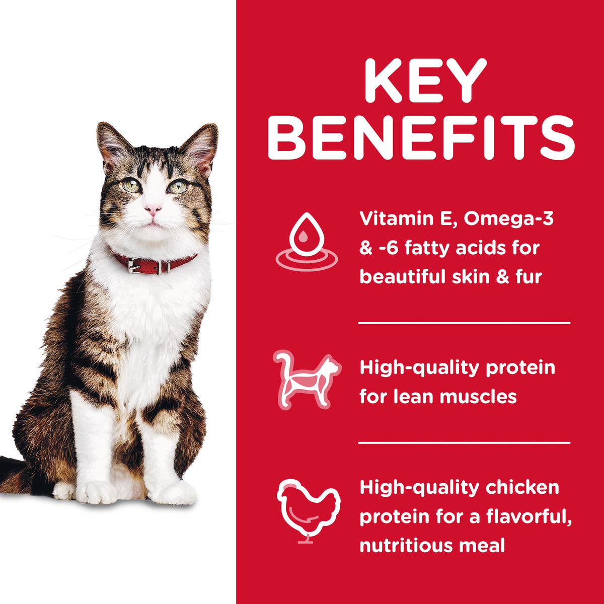 Hills Science Diet Specialty Adult Cat Hairball Control Dry Food