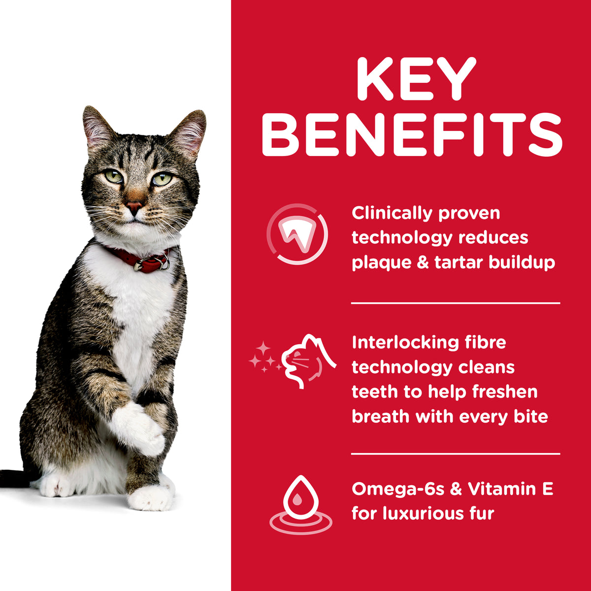 Hills Science Diet Specialty Adult Cat Oral Care Dry Food