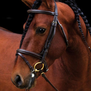 Horseware Ireland Amigo Deluxe Bridle