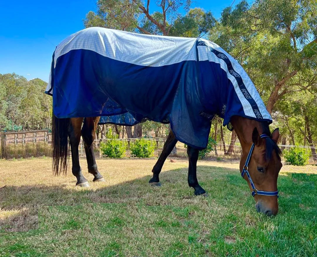 Horseware Ireland Amigo Helix Airflow Disc Front