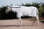 Horseware Ireland Amigo Helix Allrounder Disc Front