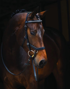 Horseware Ireland Rambo Micklem Diamante Competition Bridle