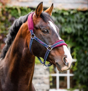 Horseware Ireland Rambo Padded Headcollar