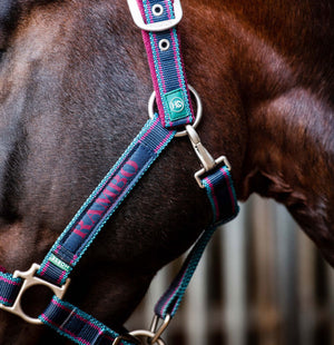 Horseware Ireland Rambo Padded Headcollar