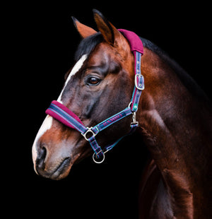 Horseware Ireland Rambo Padded Headcollar