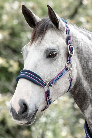 Horseware Ireland Rambo Padded Headcollar