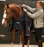 Horseware Ireland Liner 200g