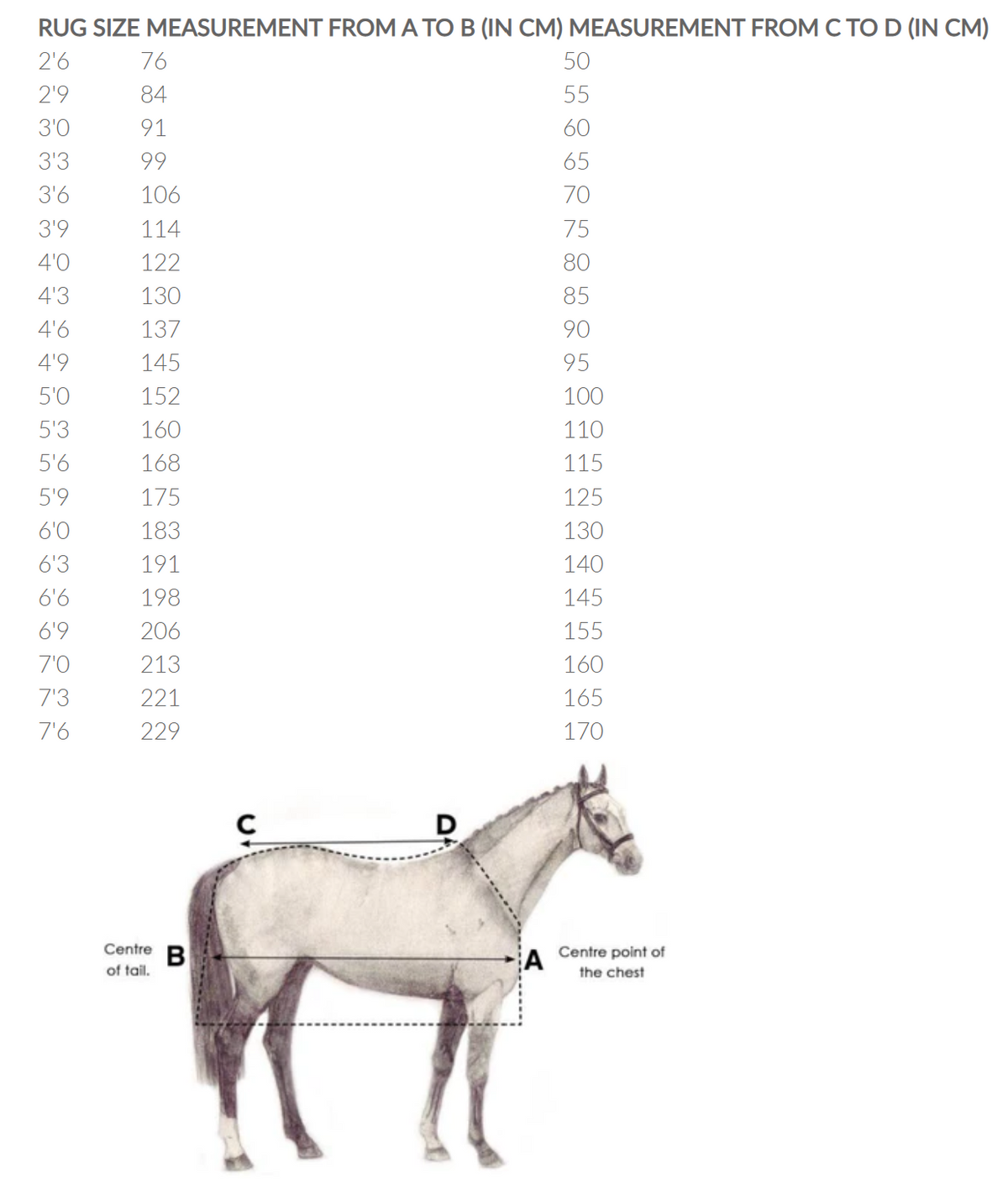 Horseware Ireland Amigo Helix Airflow Disc Front