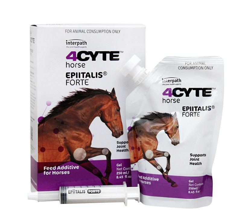4CYTE Epiitalis Forte Gel for Horses