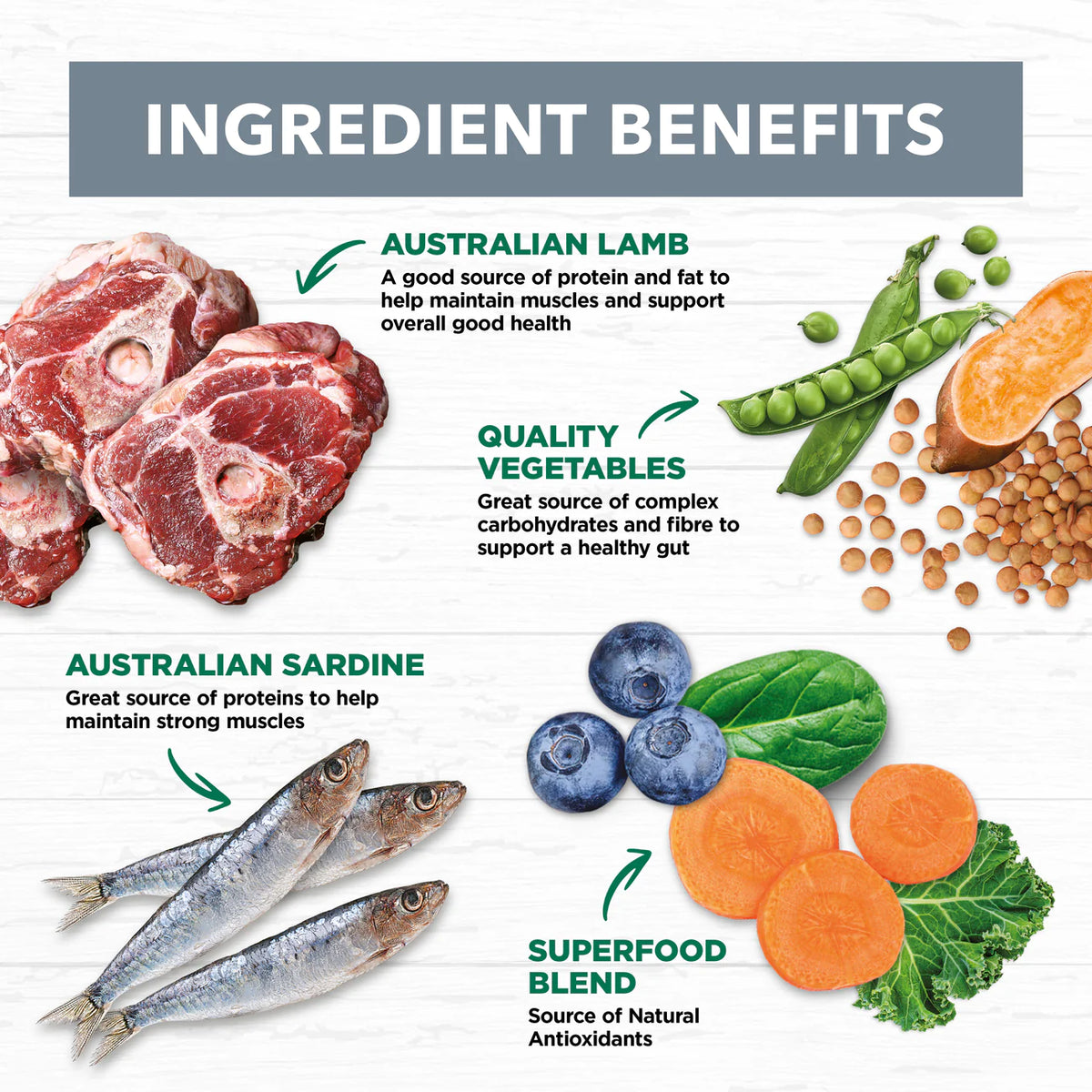 Ivory Coat Grain Free Lamb and Sardine Wet Dog Food