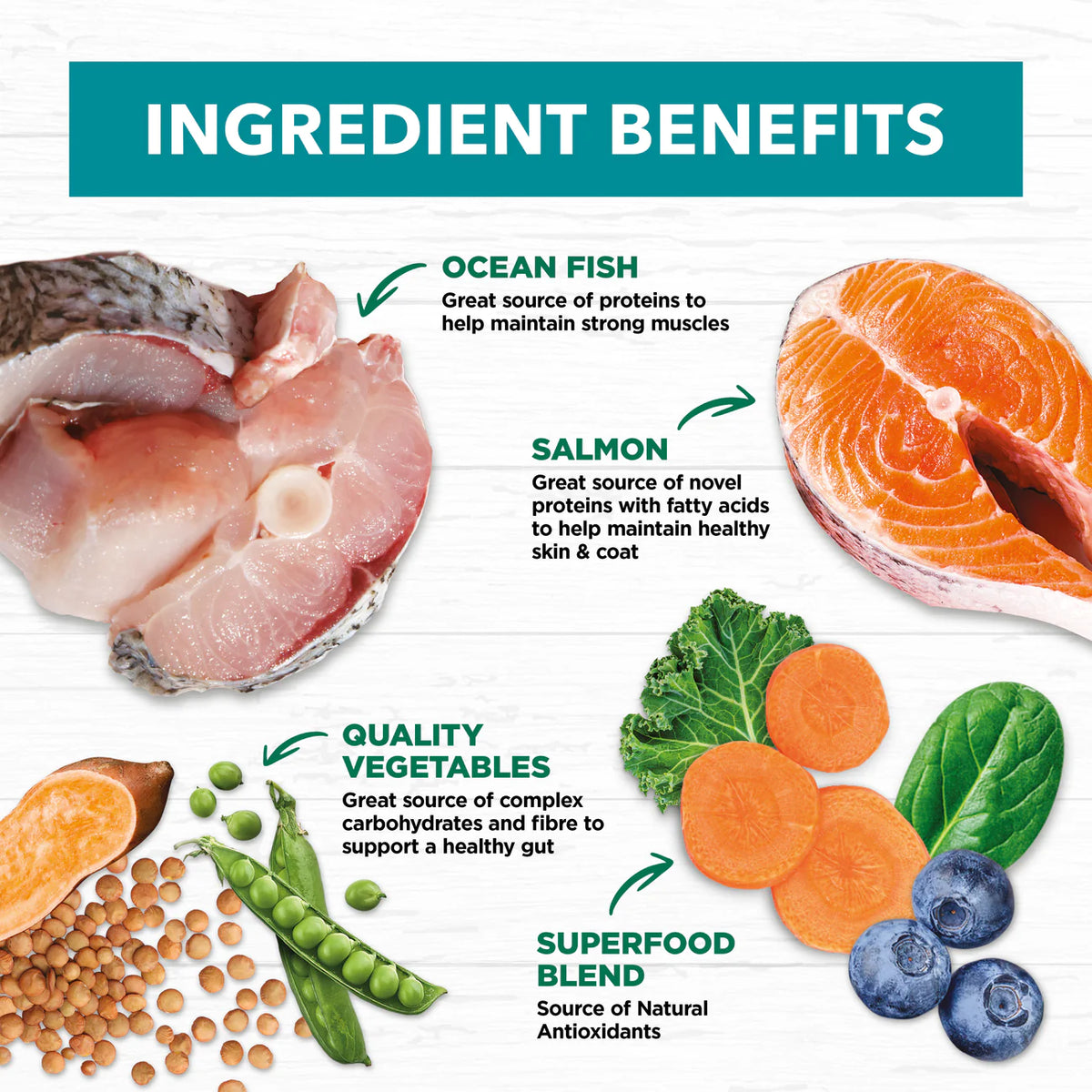 Ivory Coat Grain Free Adult Ocean Fish and Salmon Dry Dog Food